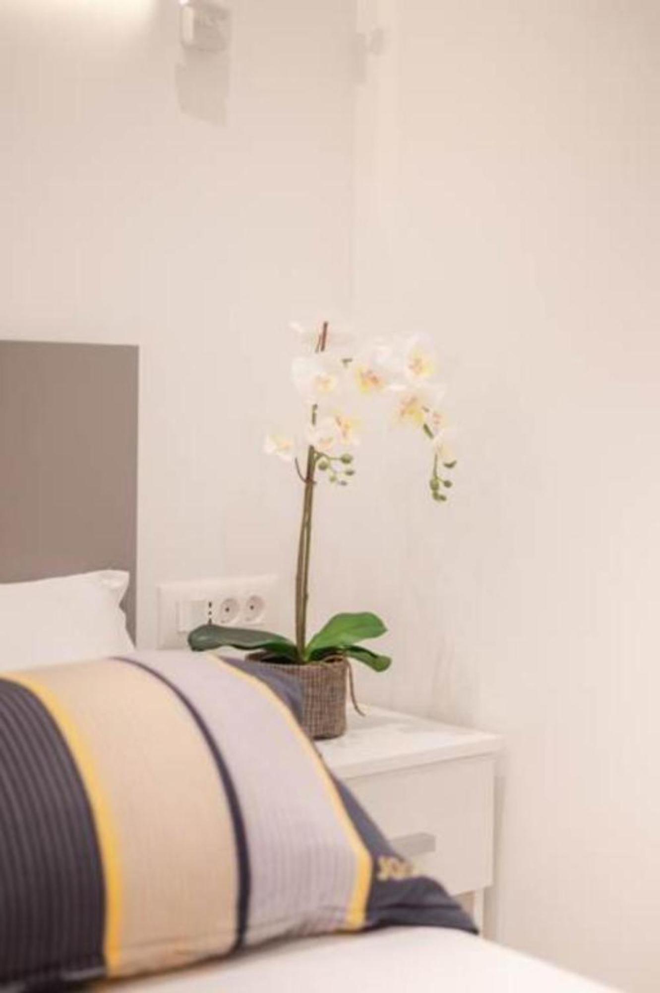 Canta Amore Suites Zadar Exterior photo